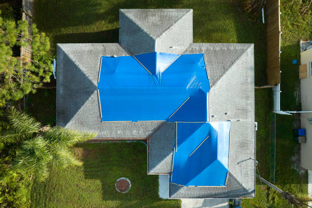 Trusted Lorenz Park, NY Roofing Service Experts