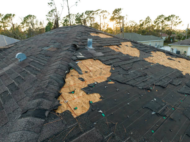 Best Rubber Roofing (EPDM, TPO)  in Lorenz Park, NY