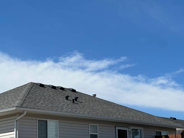 Best Gutter Installation and Repair  in Lorenz Park, NY